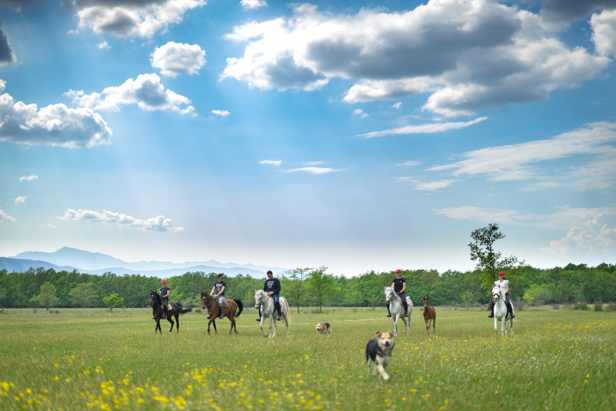 Terapeutsko jahanje kroz stoljetnu hrastovu šumu u Sovićima